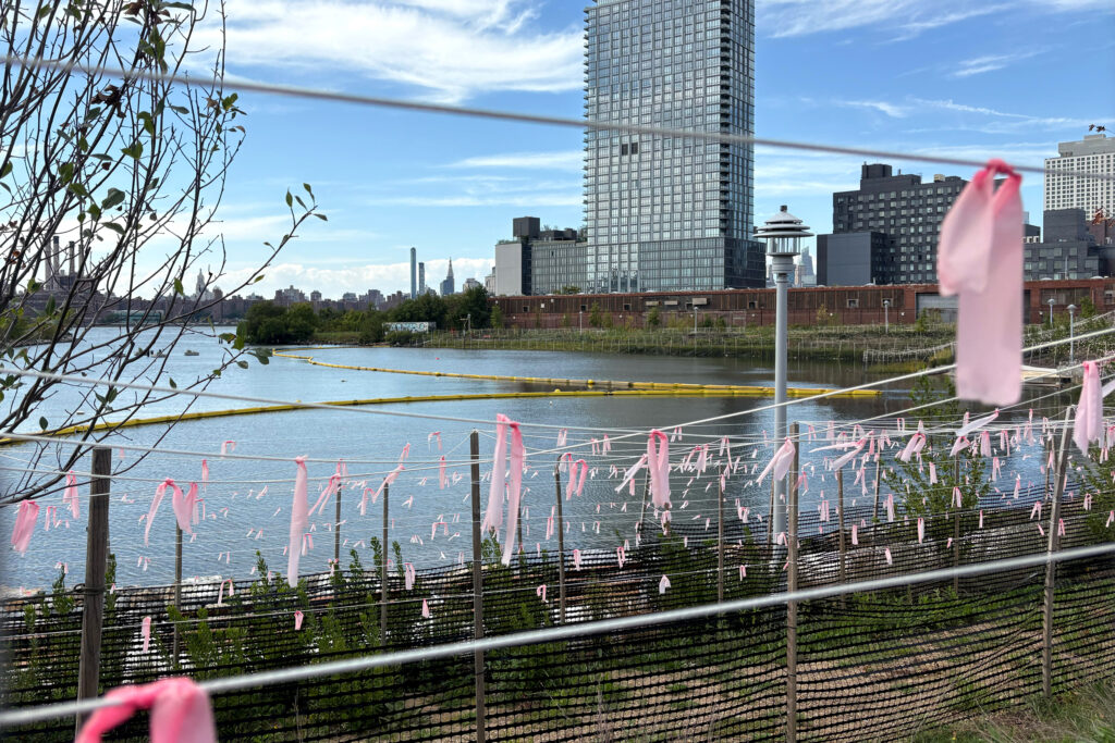 New York City Needs More Housing. Should it Come With Promises to Protect Green Space?