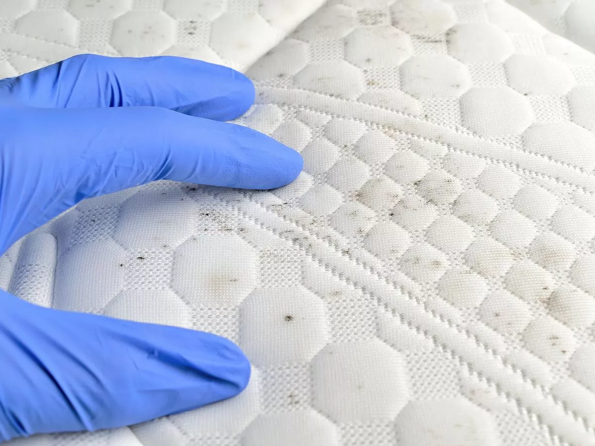 Urgent ‘mattress mould' warning to anyone with an electric blanket