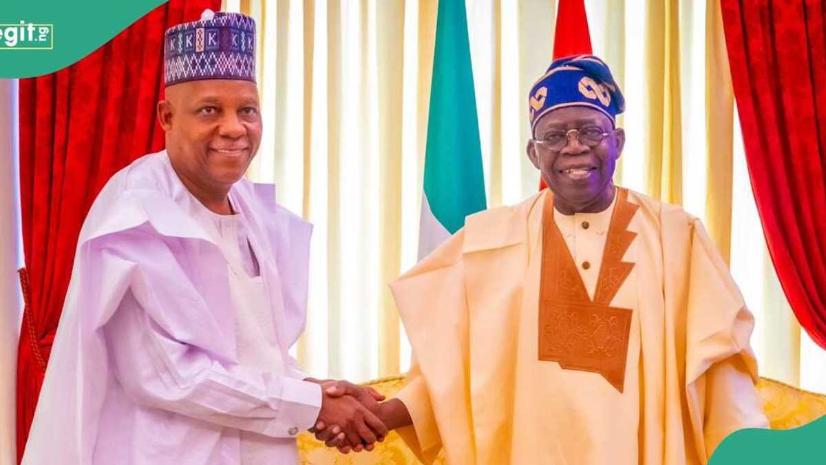 Is he loyal to Tinubu? Shettima's speech at UNGA attracts reaction
