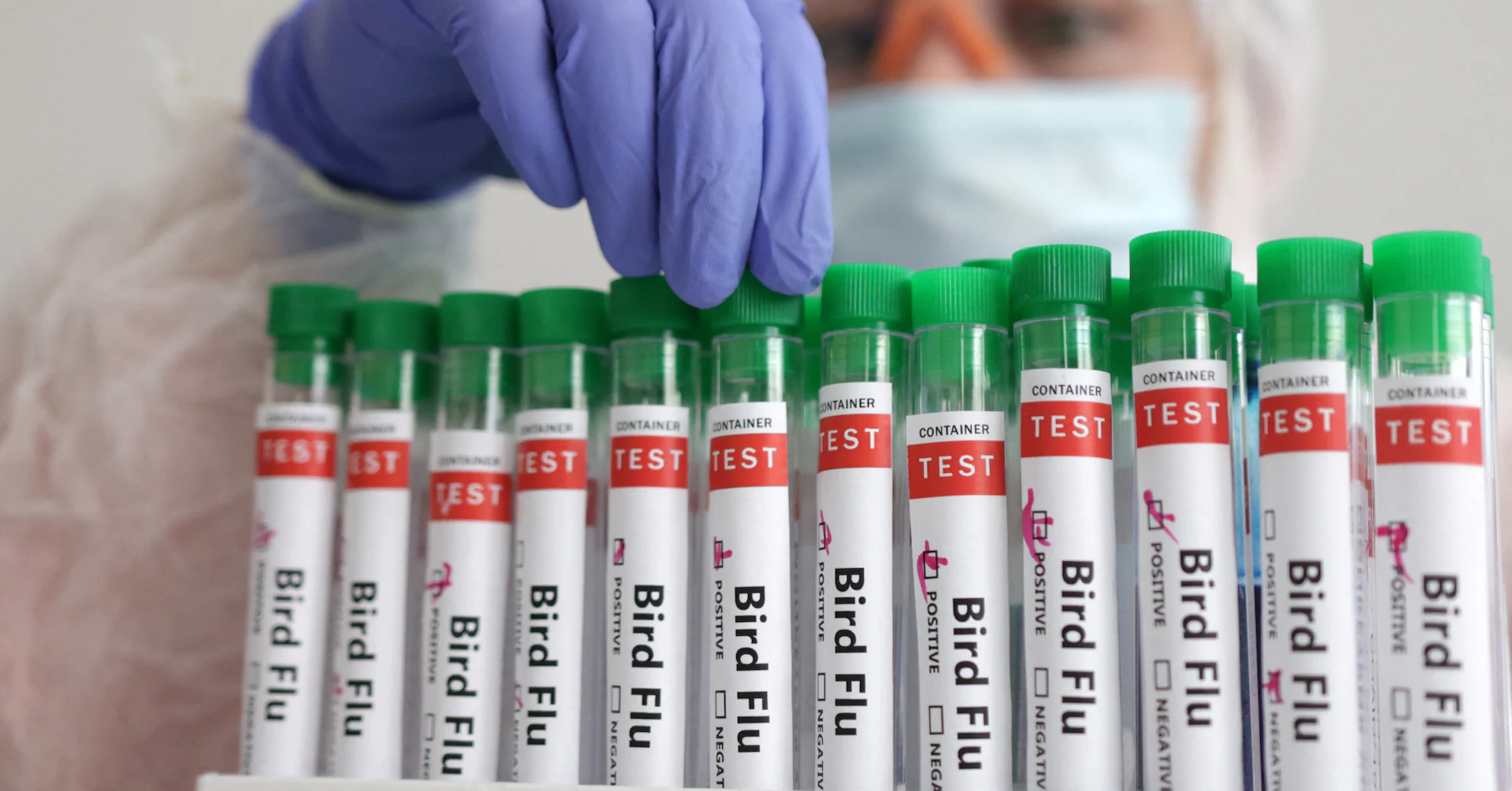 Belgium reports H5N1 bird flu outbreak on farm, WOAH says