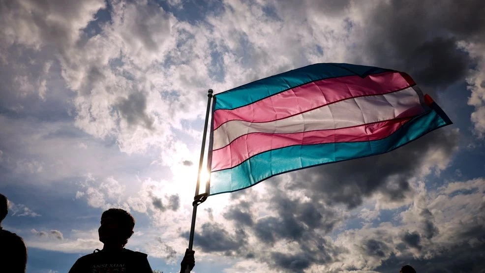 Trans and nonbinary youth identities plummet by half, professor confirms