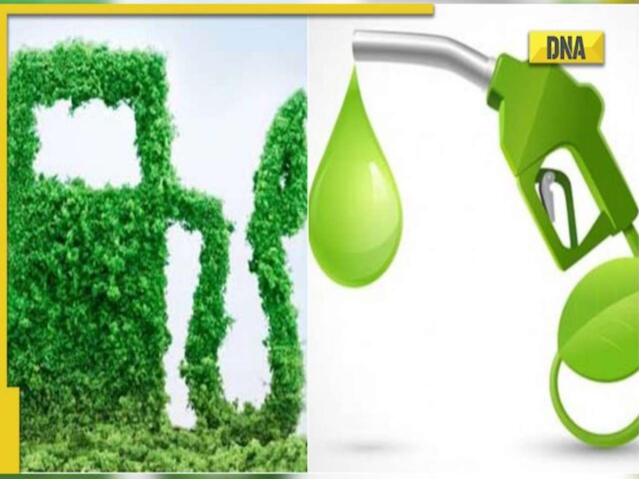 Ethanol and Petrol: Mix that's reshaping India's energy future