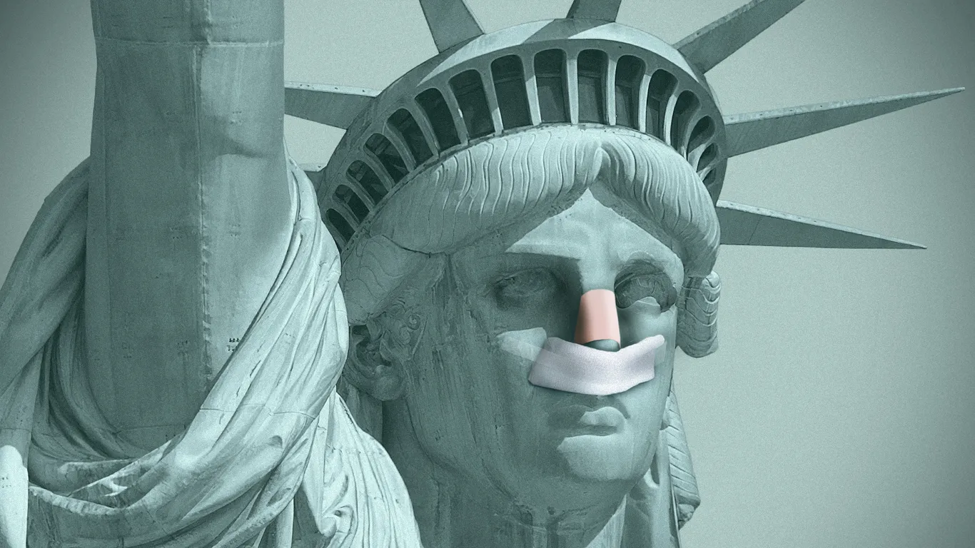 From budget-friendly Botox to luxury facelifts, America is in its heyday of plastic surgery