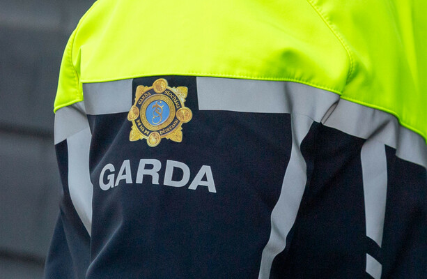 Man arrested over alleged assault on two people canvassing with Mary Lou McDonald yesterday