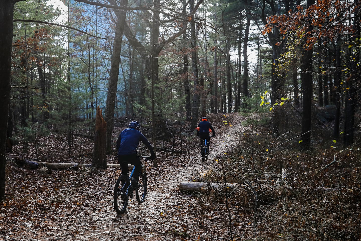 Mountain biking group is part of the solution in the Fells