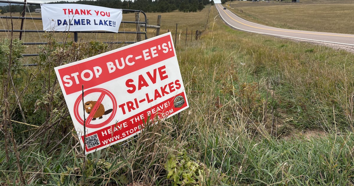 A colossal Buc-ee’s broke a small Colorado town