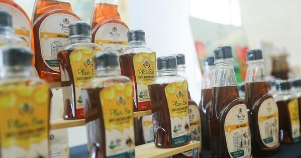 Myanmar's bee enterprise eyes market expansion in China through CIIE