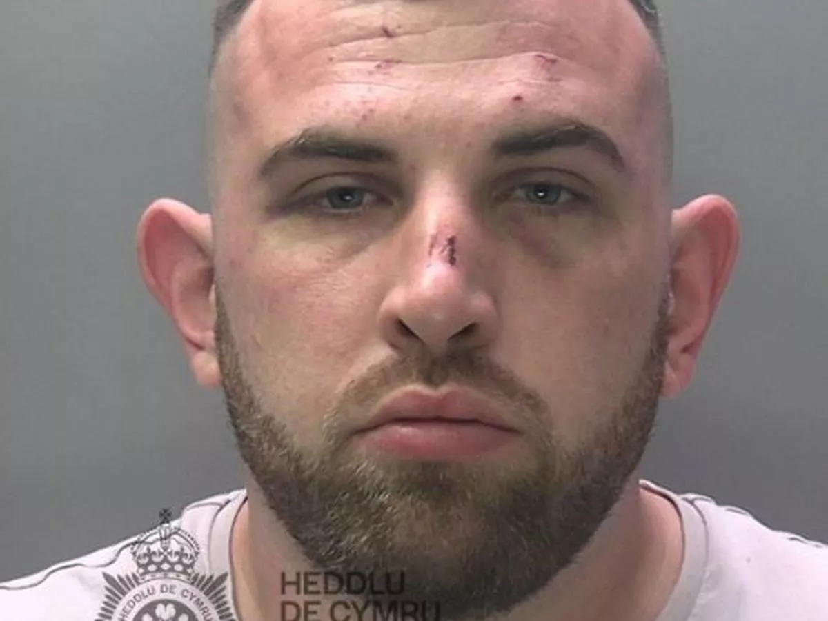 He left his fiancé 'bleeding, battered and with a fractured eye socket, then told police she fell