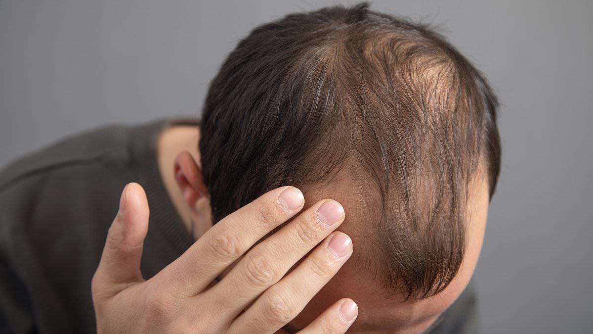 Revealed: What your hair (or lack of!) says about you, according to scientists