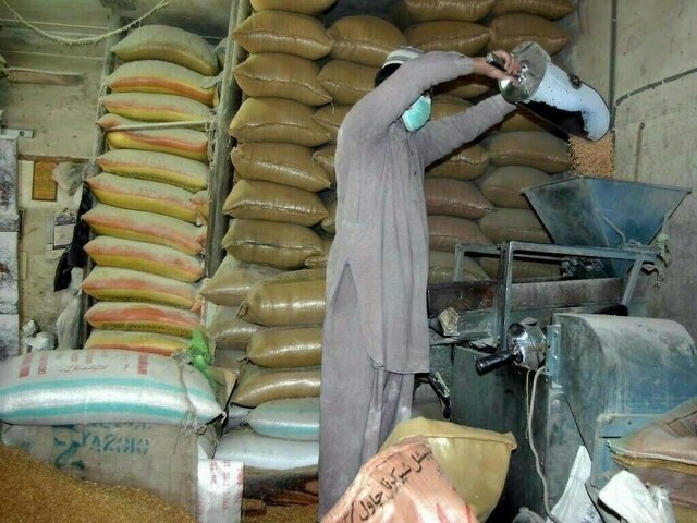PFMA cautiously welcomes wheat policy