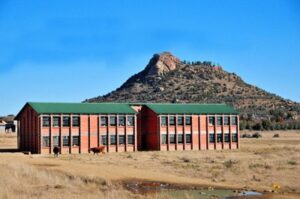 Youth champion climate policy, action on global stage