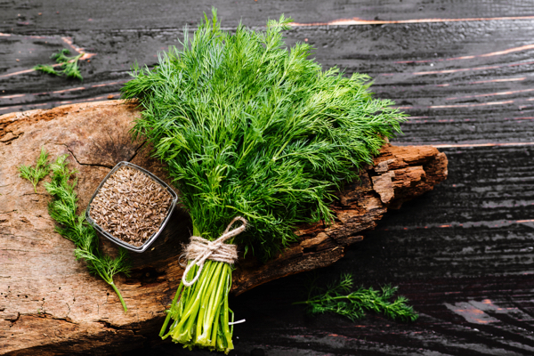 Science uncovers the power of dill in managing diabetes