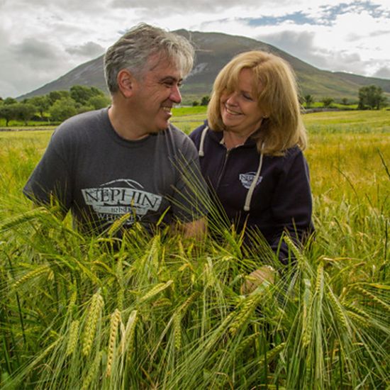 Liquidator set to be appointed to Nephin Whiskey