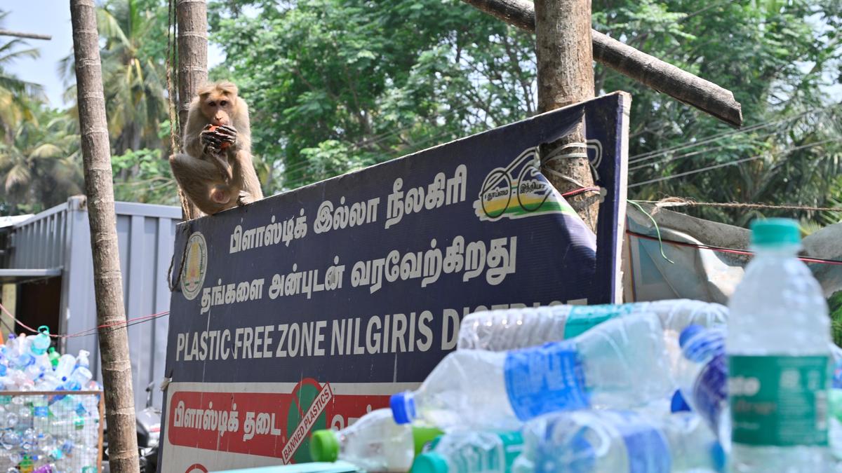 Convene meeting with brand owners to enforce plastic ban in Western Ghats, Madras High Court directs T.N.