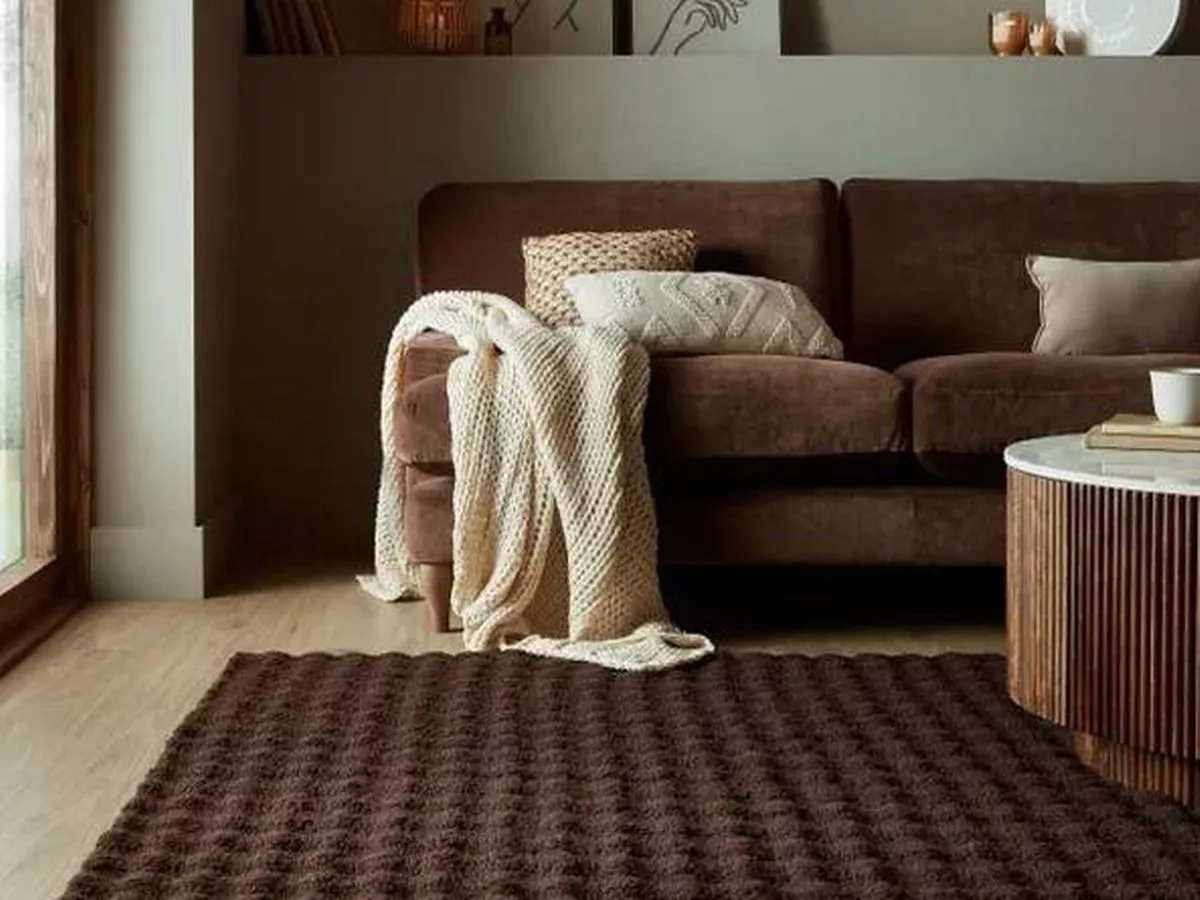 Dunelm shoppers rush to buy 'cosy' rug with 64% discount that's 'soft underfoot'