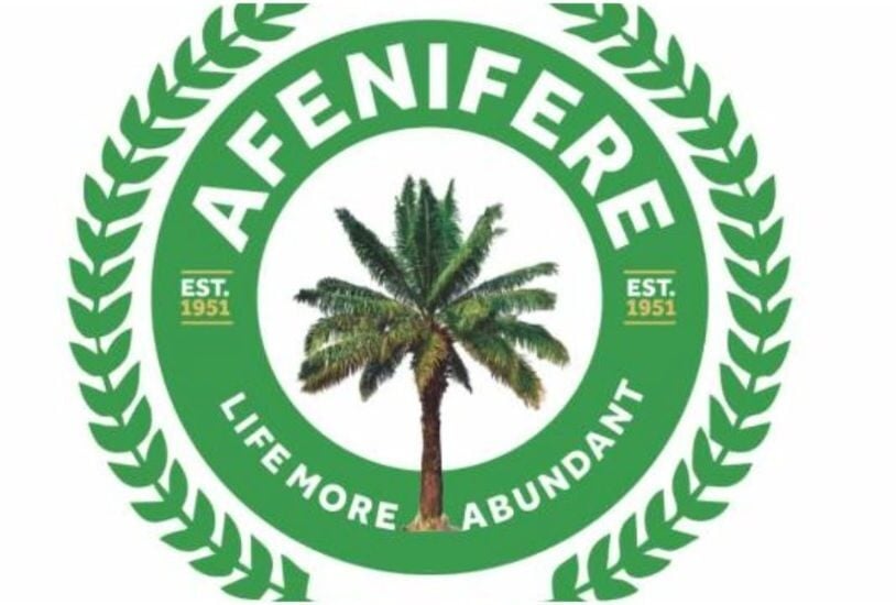 Don’t Fan Embers Of Disunity, Afenifere Group Urges North
