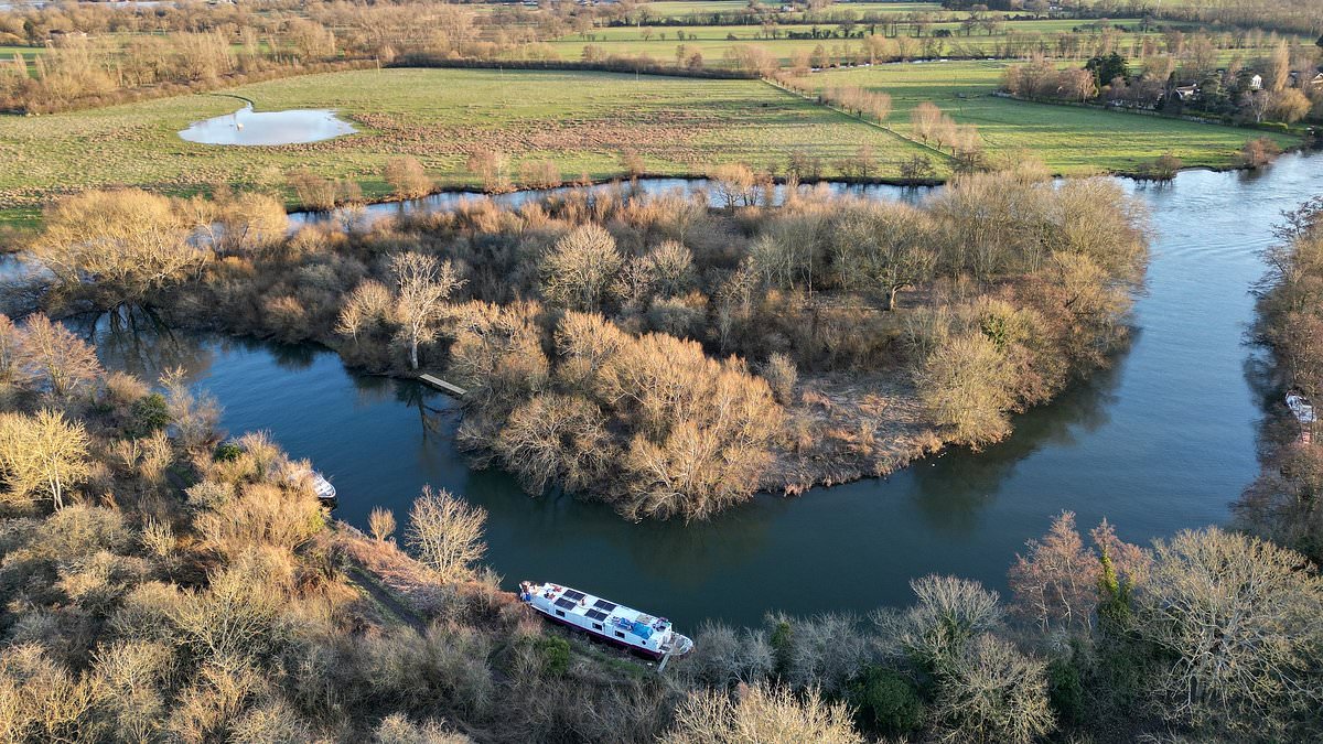 Island on the Thames is cheaper than neighbours' homes, just a 40-minute commute from central London and has its own woodland... but there's a catch