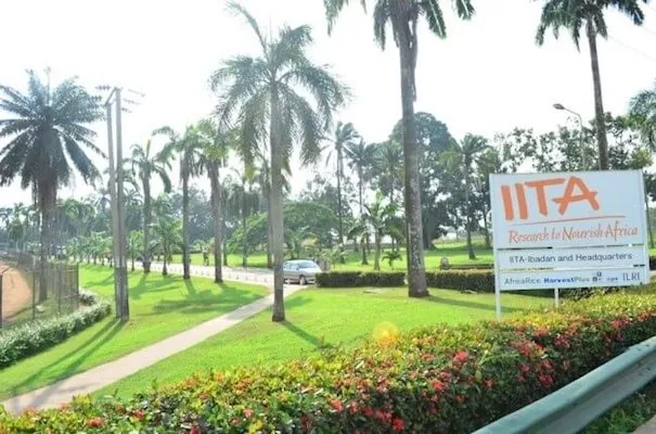 IITA canvases for stronger soil data to boost yields