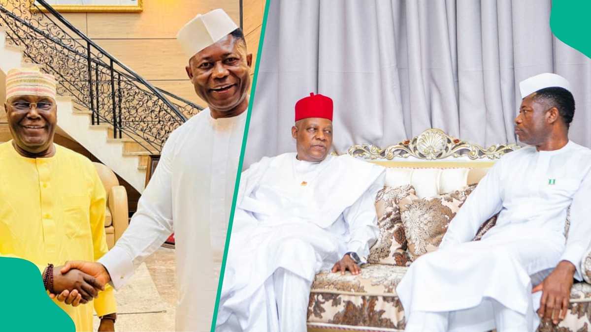 Shettima, Atiku, Kwankwaso others visit to Jack-Rich as reason emerges