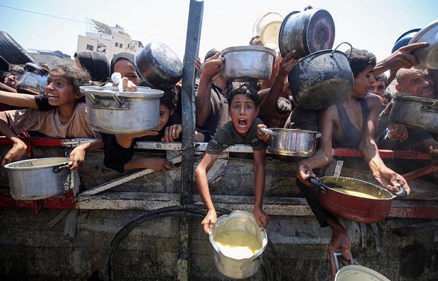 Hunger, disease have not stopped in Gaza : WHO