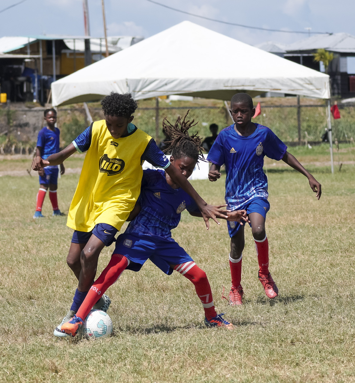Thrilling matches anticipated as Courts Optical Pee Wee  quarterfinals kick off today