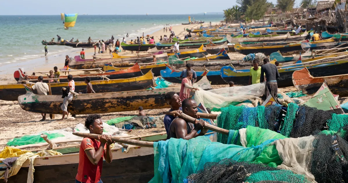 To Save Madagascar’s One-of-a-Kind Ecosystems, You Have to Feed the People First