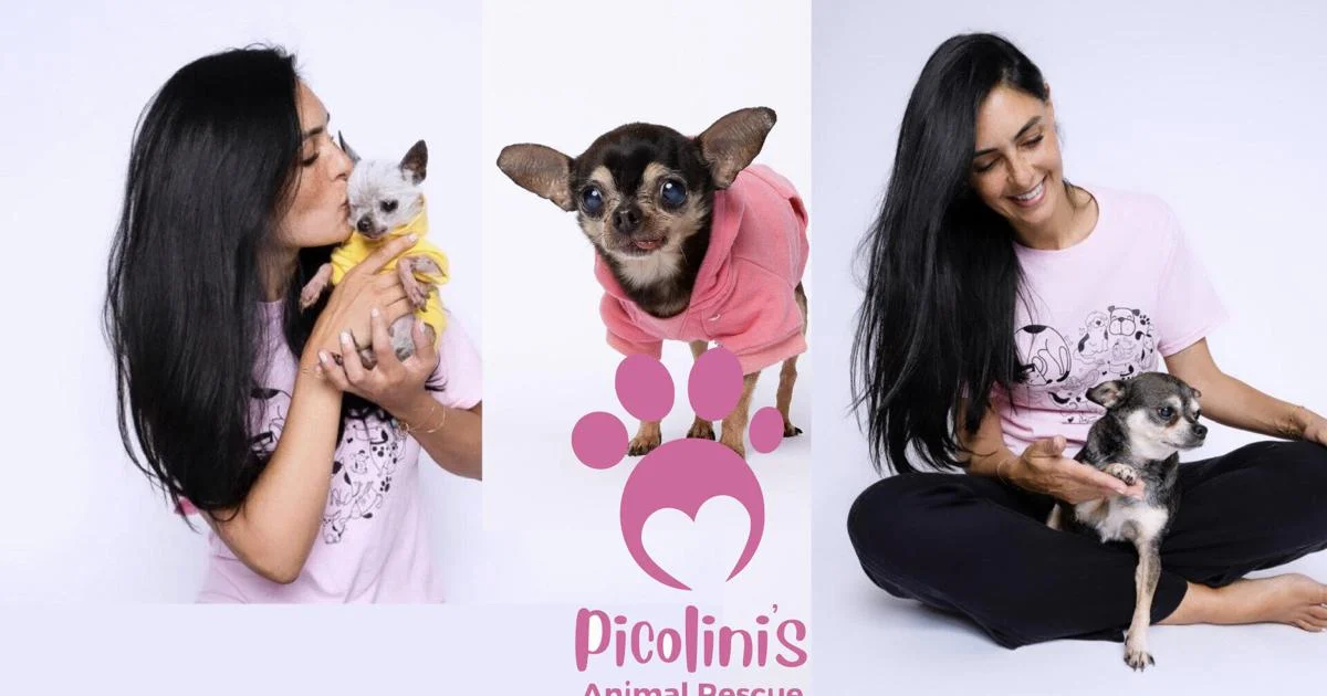 Global Child Travel & Purpose & Picolinis Animal Rescue Siblings Unite to Protect Miami's Precious Pets