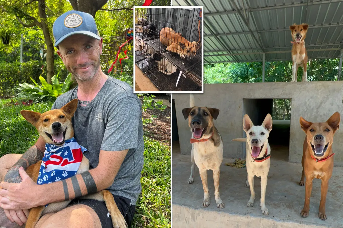 I nearly died of alcoholism - but I found purpose in life rescuing street dogs