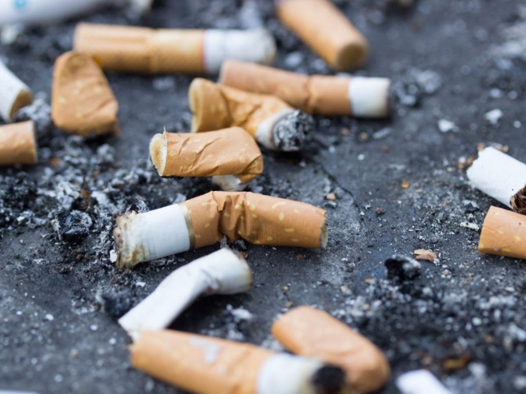 VAST-GHANA urges government to increase unhealthy product taxes in the 2026 budget