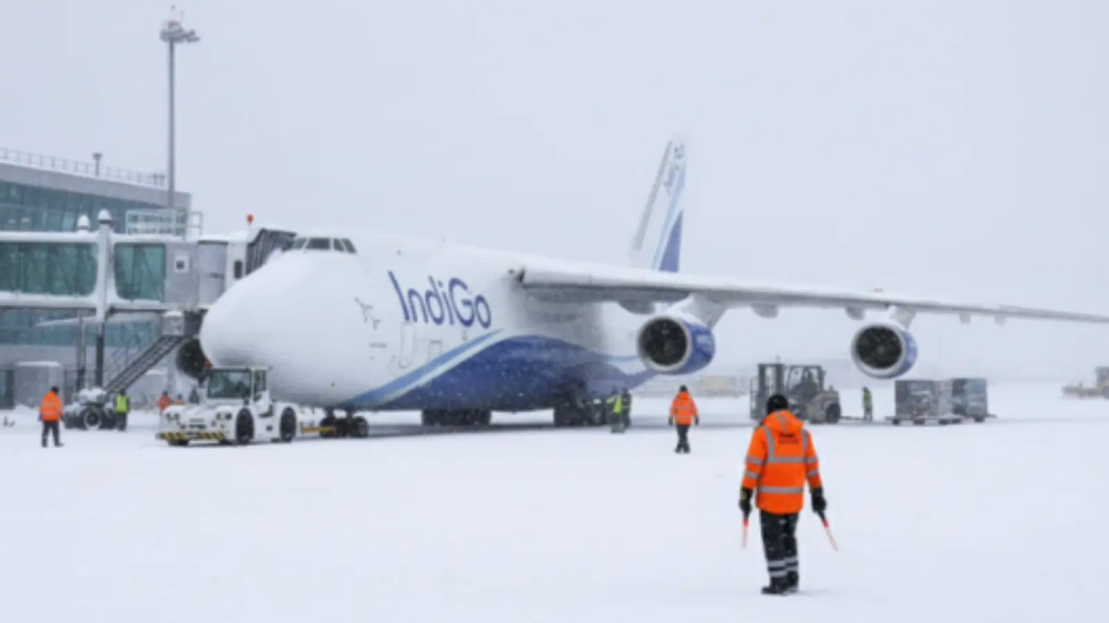 Indigo Flight Makes History In Antarctica? Truth Behind Viral Instagram Post