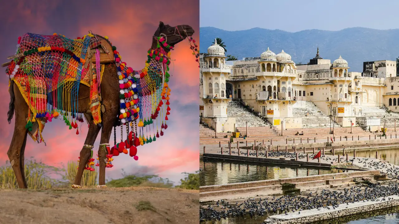 Pushkar Mela 2025: Your Guide To The Festival's Top Attractions
