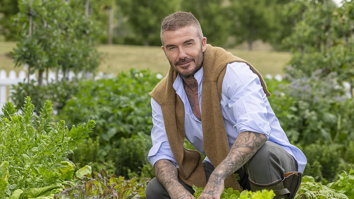 How posh is YOUR garden? From the society verdict on 'neat lawns' to hot tubs, fountains and what you SHOULD be using your greenhouse for, this is the ultimate test