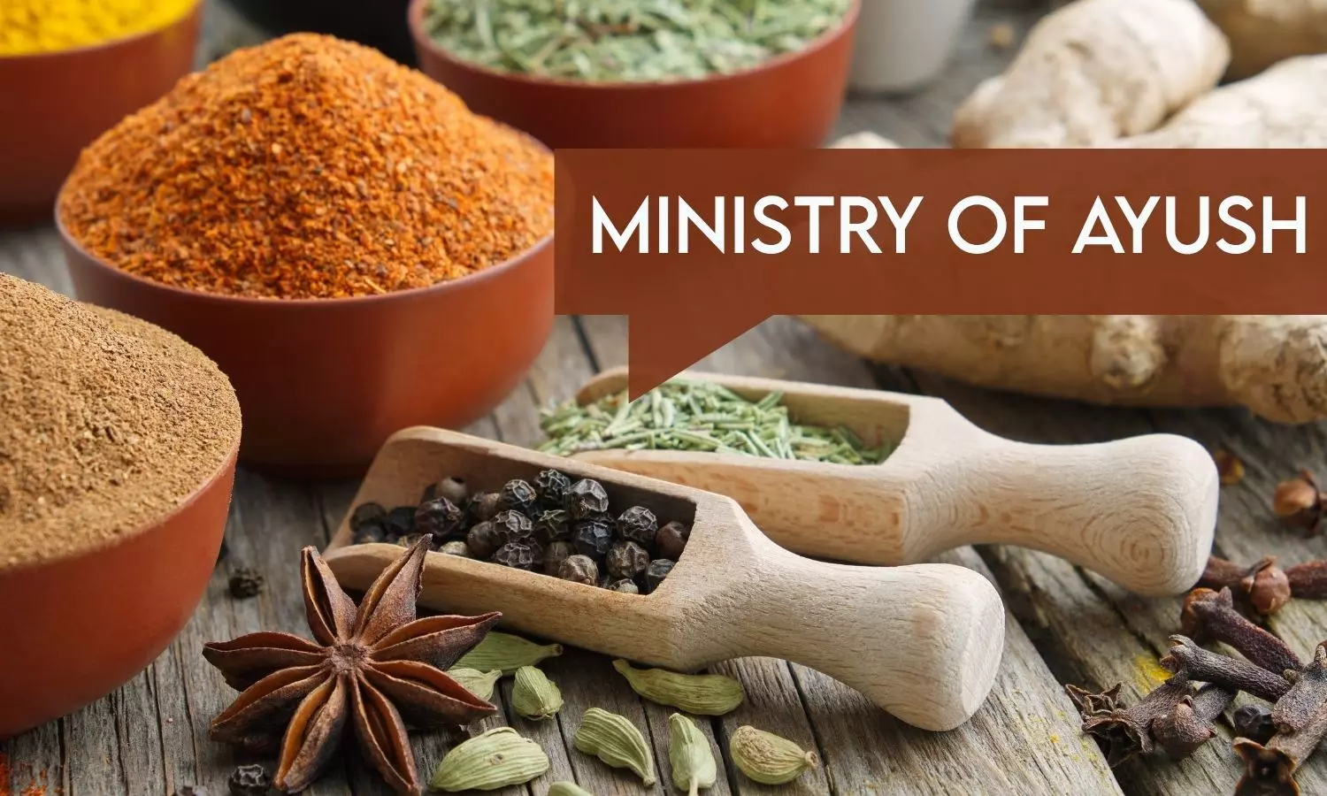 AYUSH Ministry, ICMR to host national seminar on liver wellness through Ayurveda