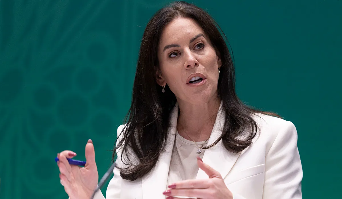 Minister rejects call from UN expert for ban on all surrogacy