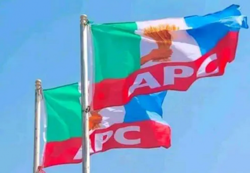 Governance: Nigerian youth have moved from hashtags to headlines