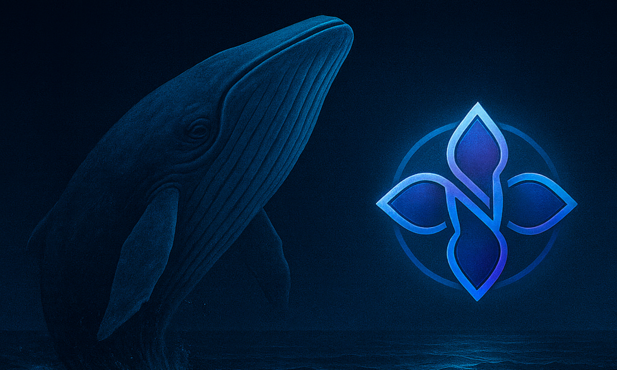 The Whales Are Moving, and AI Has Begun to Think: The Quiet Revolution of Neural Vision