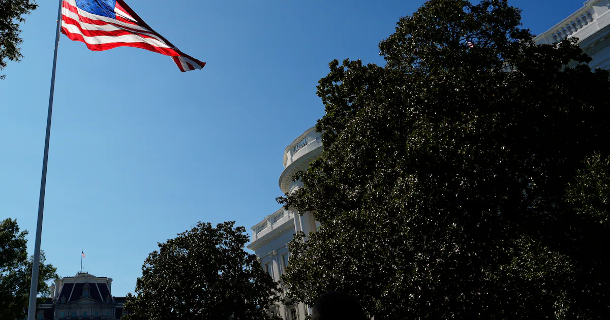 Opinion: Tonic Immobility - and how American democracy can resist it