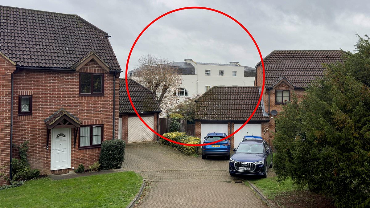 Lavish 'Bollywood' wedding venue in Grade II mansion banned from holding ceremonies after blaring music and 'cannon fire' fireworks trigger PTSD of veteran neighbours