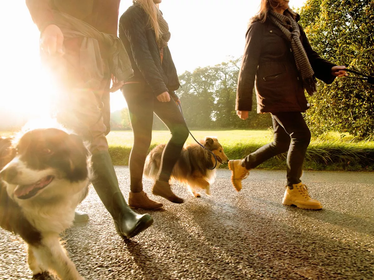 Why we need vitamin D in our diet and how to keep up your levels this winter