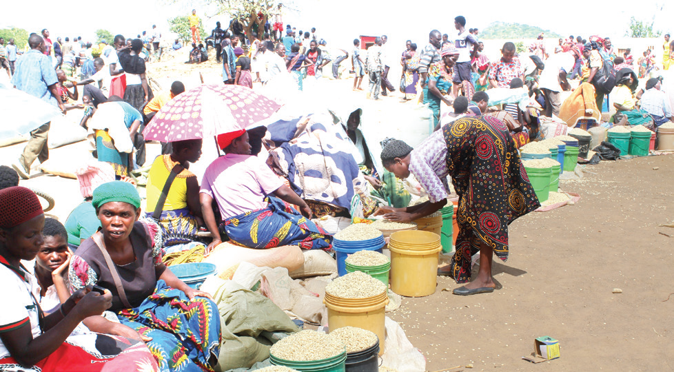 Intervention key to falling maize prices