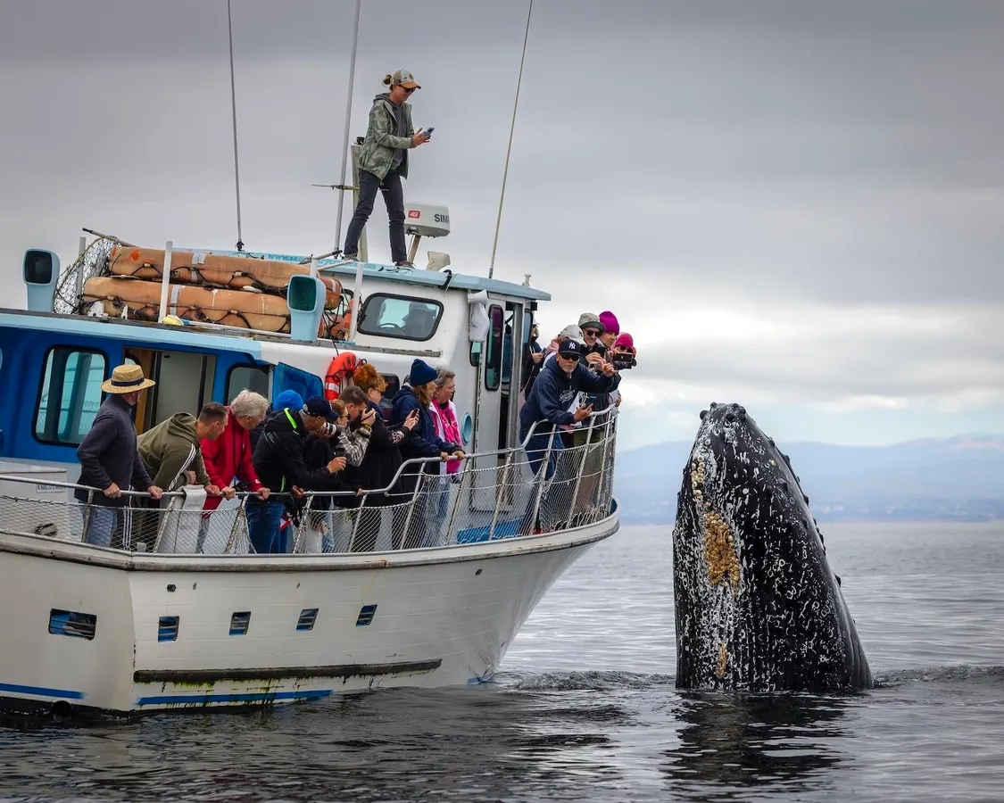 A Biologist Shares His 4 ‘Aquatic’ Favorites From The 2025 Nature’s Best Photography Contest