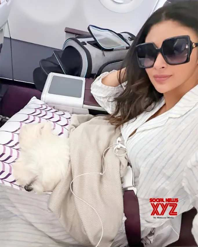 Mouni Roy’s pet dog travels with her in business class