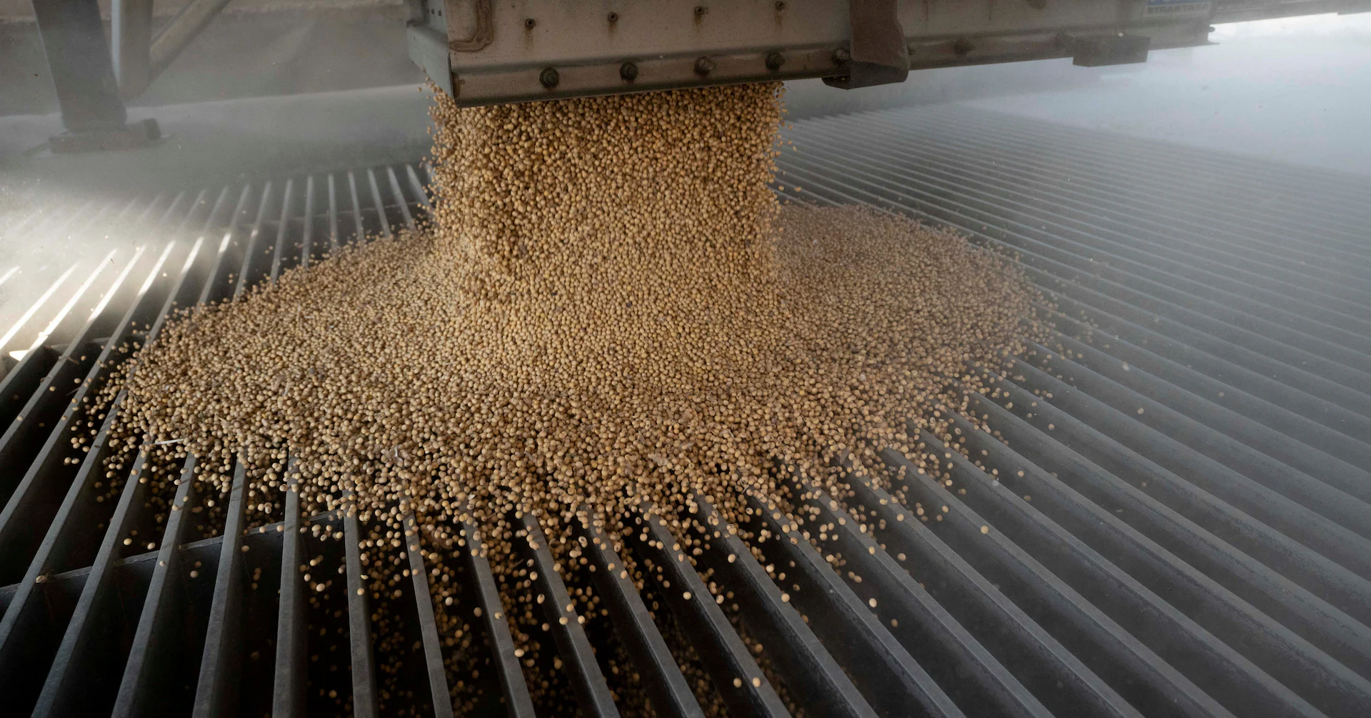 China’s Brazil ties are sown beyond soybeans