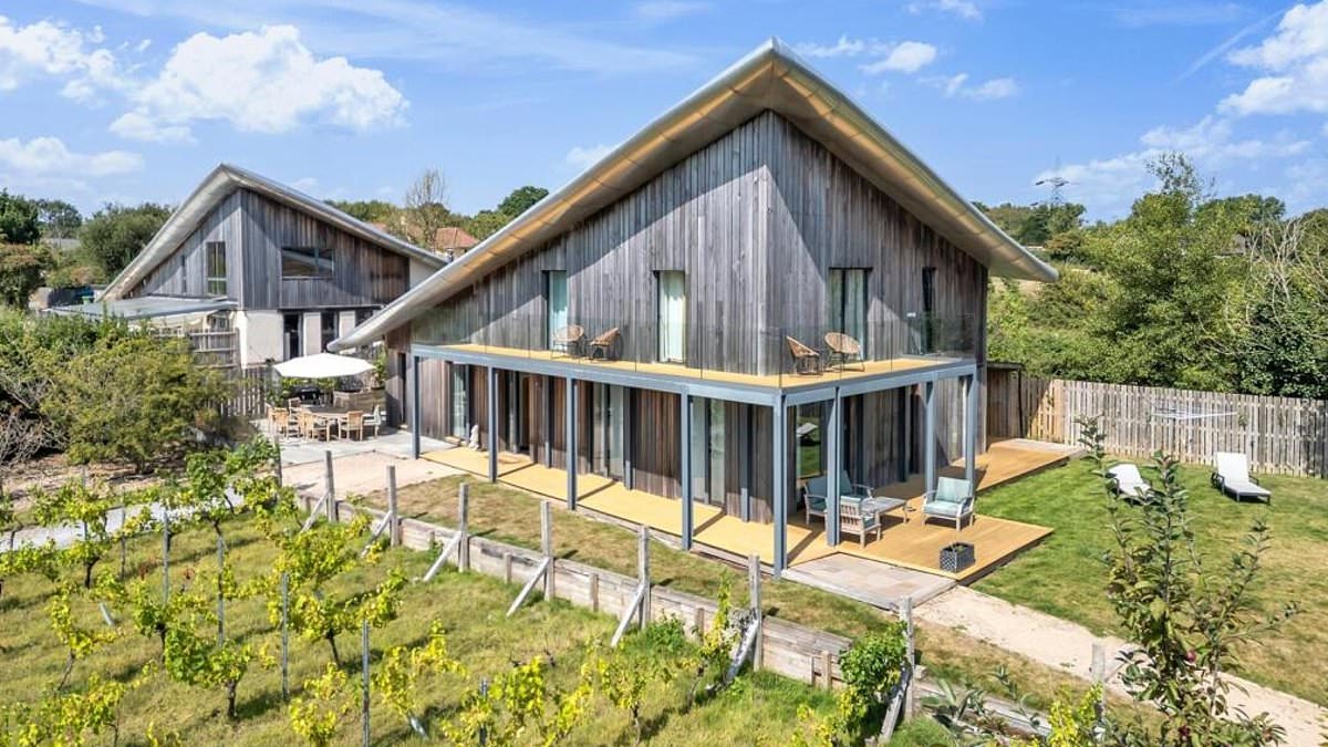 Eco house written off by Grand Designs Kevin McCloud as a 'mud hut in Benin' goes on the market for £2M