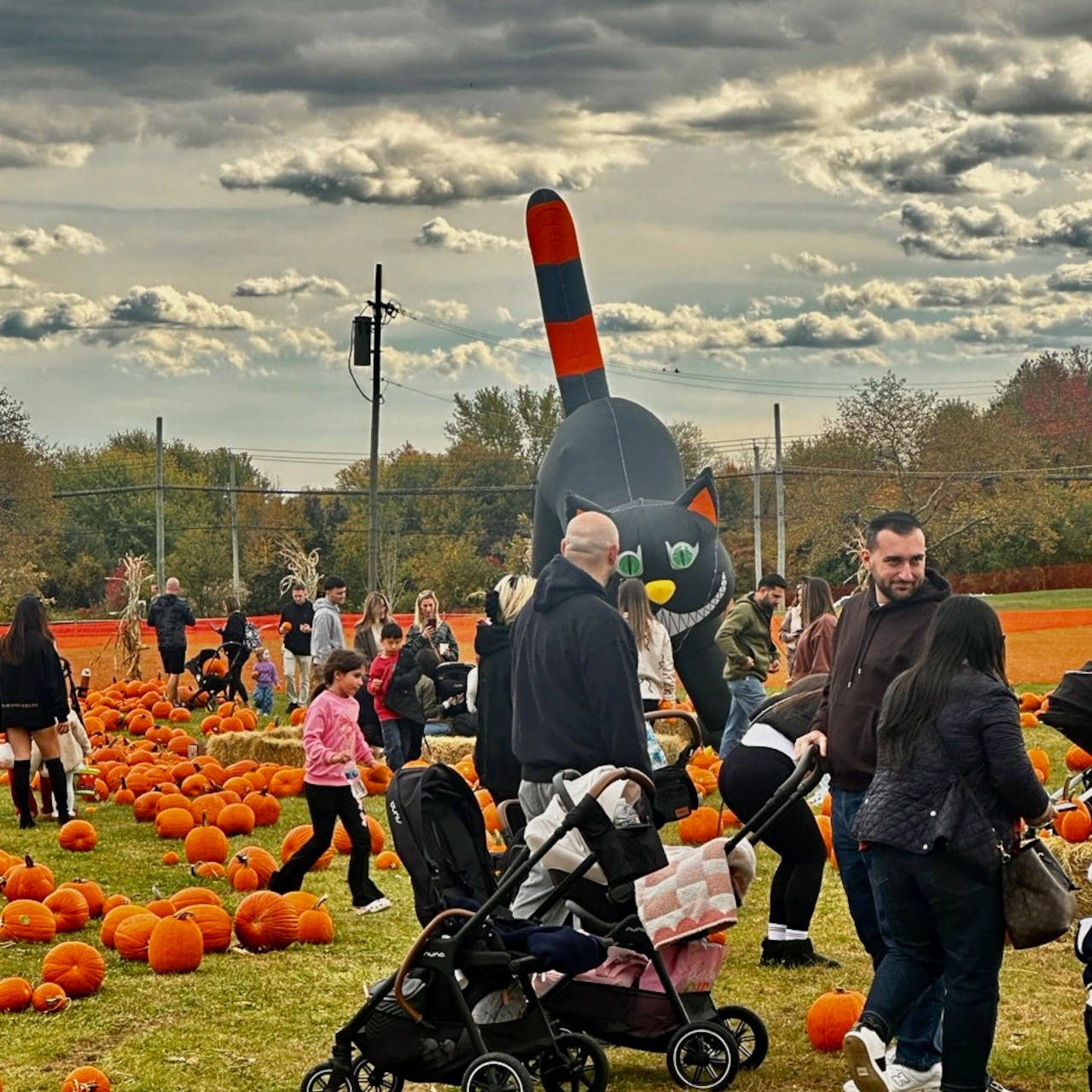 Fall Festival at The Mount concludes Sunday after drawing thousands