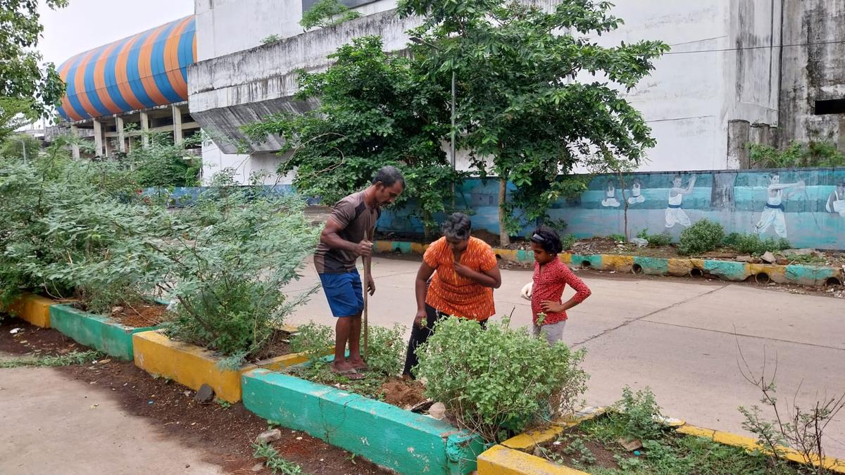 A tradition of individuals greening patches in Adyar