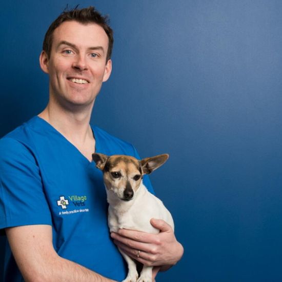 Revenue at Village Vets chain topped €23m last year amid expansion