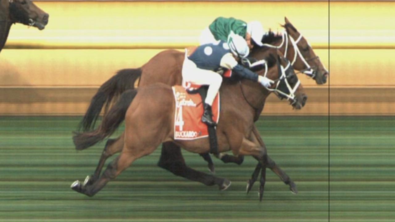 Favourite wins ‘extraordinary’ Cox Plate