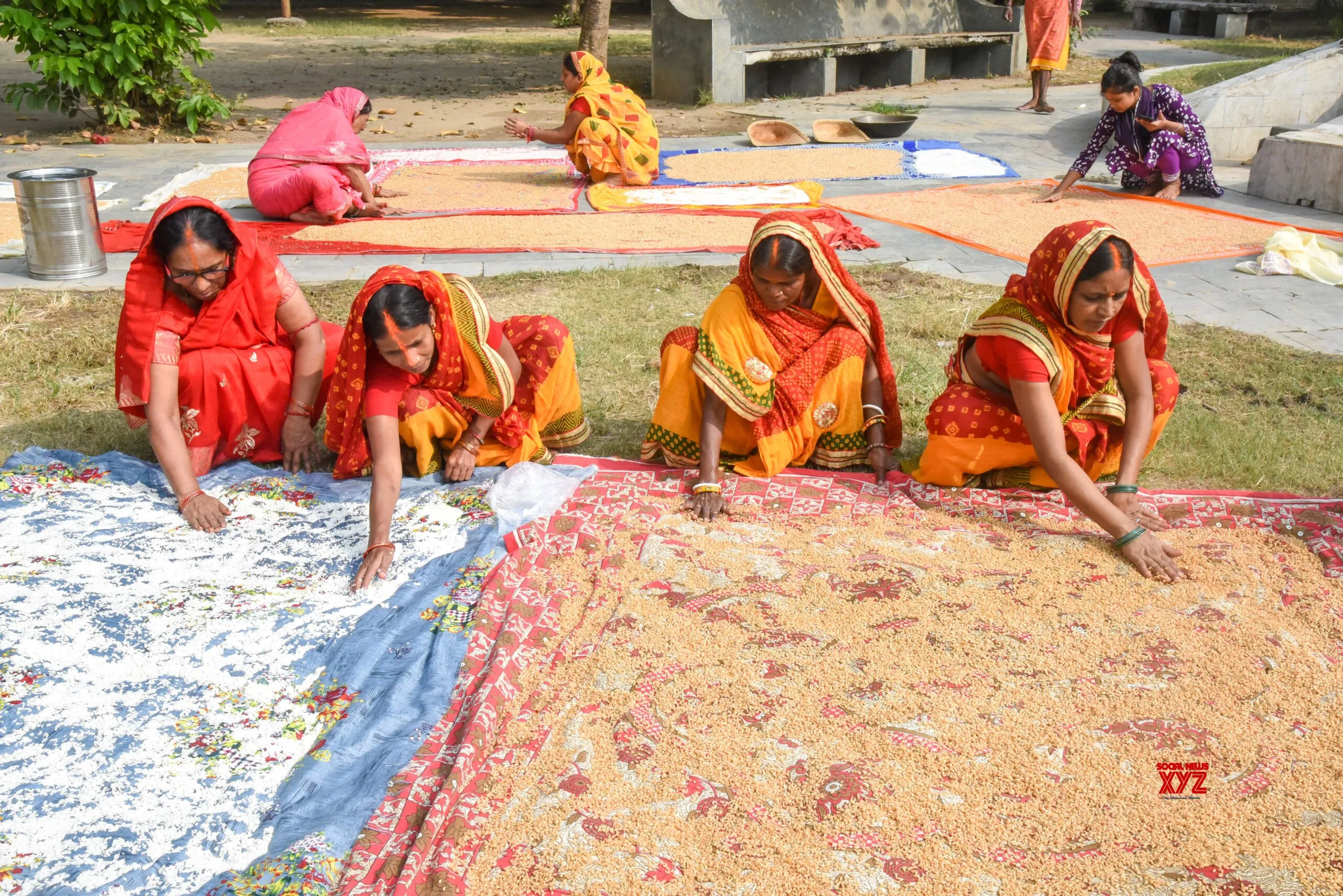 Patna: Women Dry Wheat at Kadam Kuan Congress Maidan #Gallery