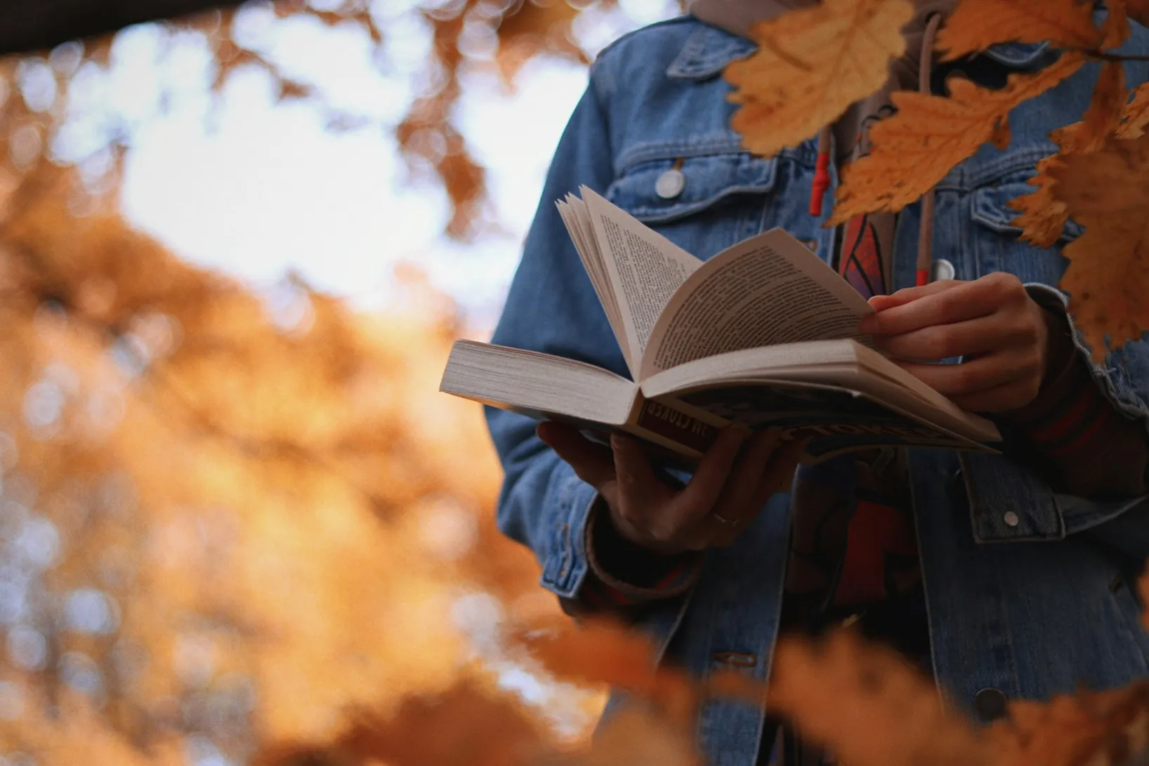 2025: 10 best books so far you should consider reading